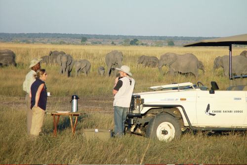 Chobe SL (11)